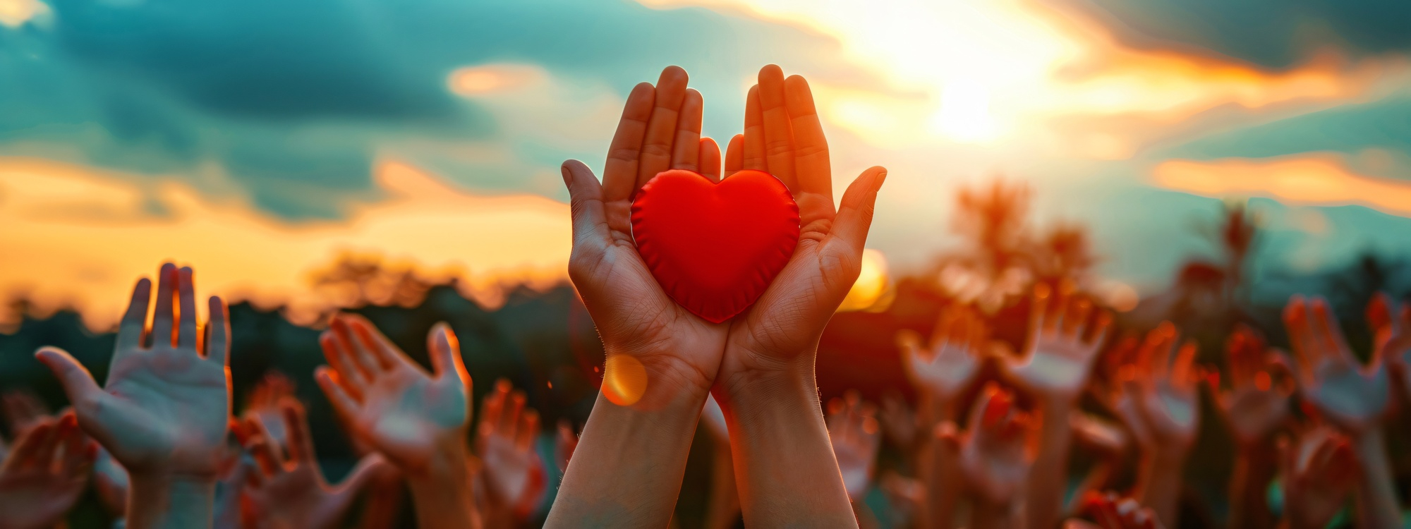 Solidarité à Pollestres