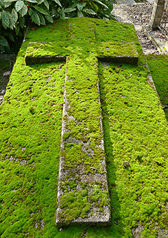 Cimetière